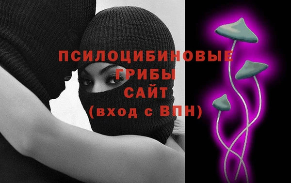 винт Алексин