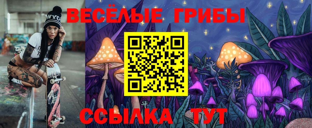 Уссурийск  Псилоцибиновые грибы ЛСД  Вход с VPN 